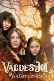 Valdes Jul – Vintermiraklet